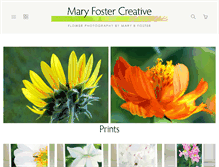 Tablet Screenshot of maryfostercreative.com